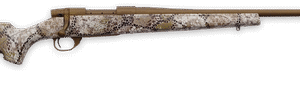 ssi165943 94839.1722898140.png