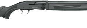 ssi170865 35310.1733160739.png