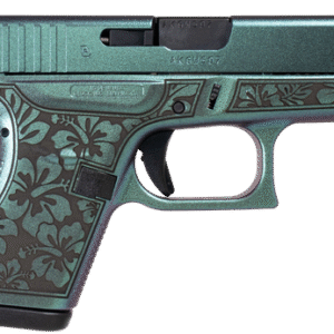 ssi170976 57023.1733348804.png