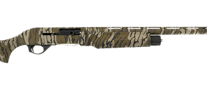 ssi176878 49269.1743618307.png