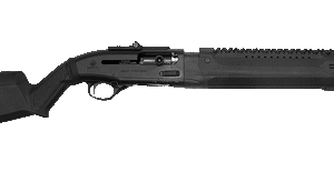 ssi181031 72193.1747937782.png